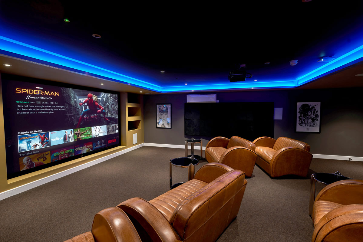TV Home Cinema and Media Integration - AVINU
